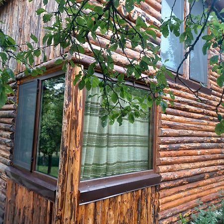 La Tataie Nucsoara Nucşoara Exterior foto